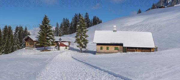 Panorama Hoehenweg, Kleinwalsertal, Allgaeu Alps, Vorarlberg, Austria, Europe