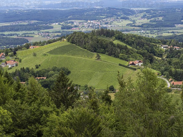 Hilly landscape, vineyards, view from the Demmerkogel lookout point, St. Andrae-Hoech, Sausal wine