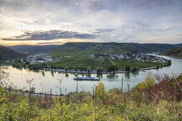 Beautiful landscape by a river. Metternich Castle lies in the middle of the vineyards overlooking