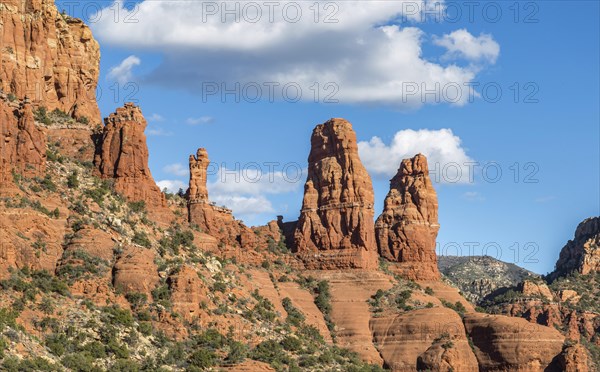Red rock sandstone formations of Sedona, Arizona, United States of America, USA, North America