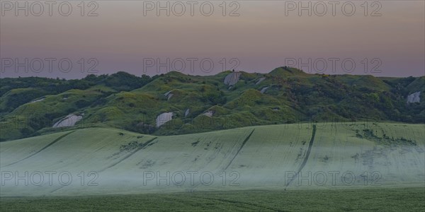 Early morning fog shortly in front of sunrise in the Crete Senesi, Province of Siena, Tuscany,