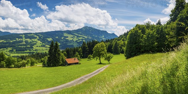 Alpine pasture landscape, behind it the Gruenten, 1783m, Oberallgaeu, Bavaria, Germany, Europe