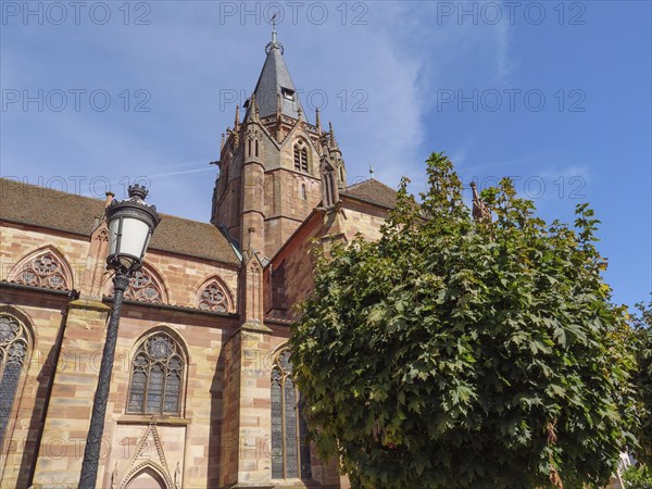 Gothic style church with high tower and trees in the foreground under a blue sky, historic house