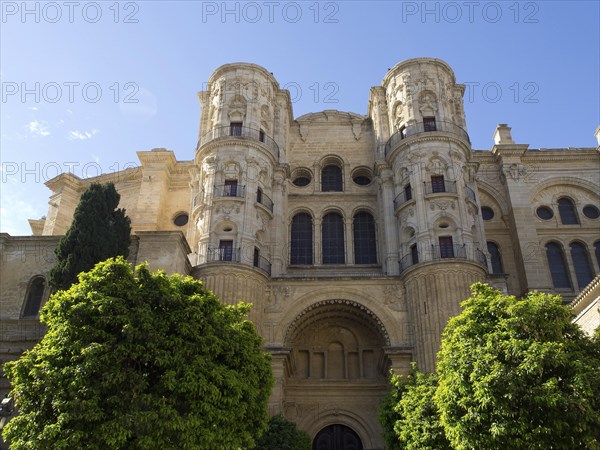 A historic cathedral with two towers and stone facade surrounded by trees on a sunny day, The city