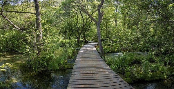 Wooden footbridge in Krka National Park, Krka Waterfalls, Dalmatia, Croatia, Europe