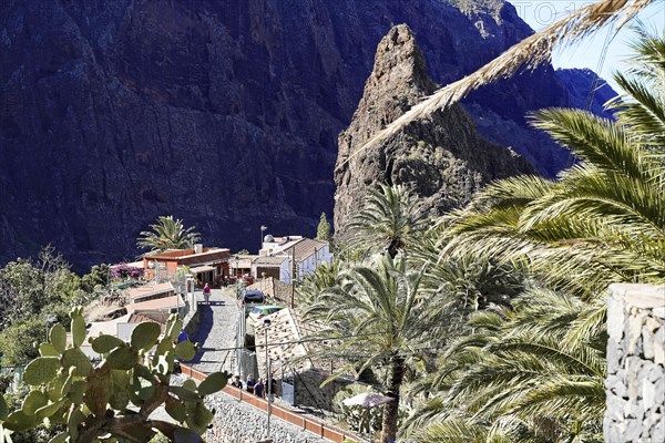 Mountain village Masca, Masca Gorge, Montana Teno Mountains, Tenerife, Canary Islands, Spain,