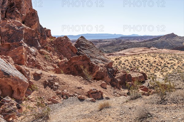 Fire Wave Trail through the Mohave Desert at Valley of Fire State Park near Overton, Nevada, United
