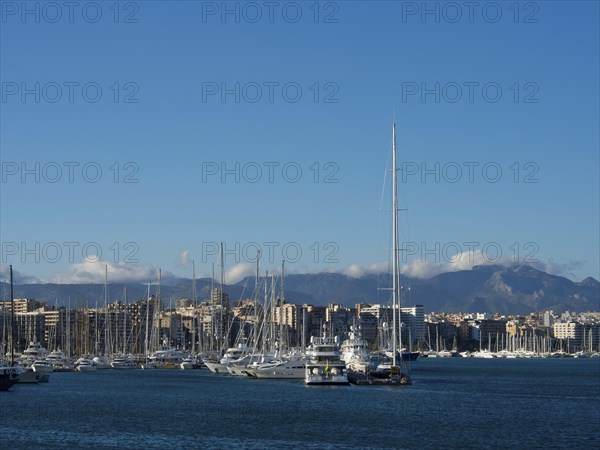 Marina with boats and city in the background under a blue sky, palma de mallorca on the