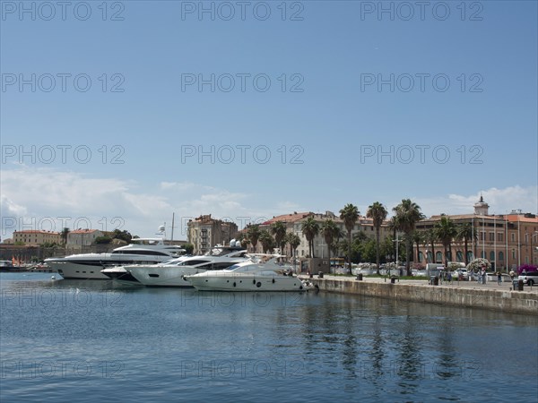 Harbour with several yachts, surrounded by houses and palm trees, on a clear sunny day, Corsica,