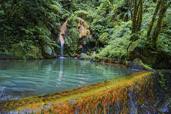 Turquoise-coloured thermal spring with waterfall, surrounded by lush vegetation and ferns, Caldeira