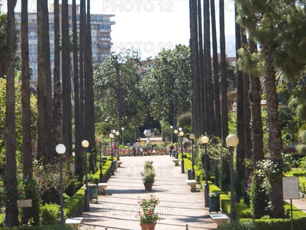 A quiet park avenue with symmetrically arranged trees and green bushes, residential buildings in