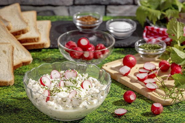 Fresh spread of radishes, cottage cheese and spices surrounded by ingredients and slices of bread
