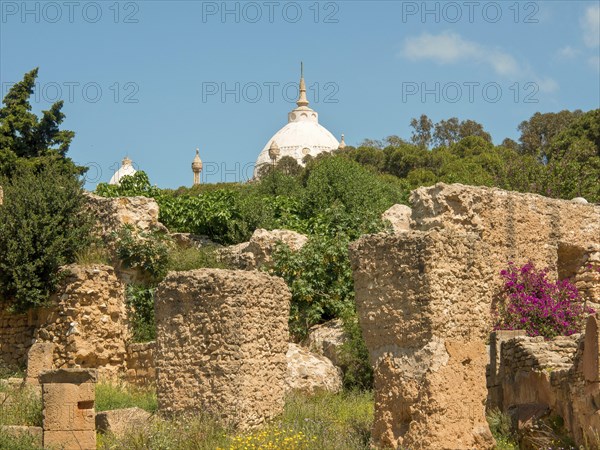 Overview of ancient ruins, in the background a white dome and lush vegetation, Tunis in Africa with