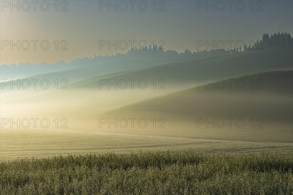Sunrise in the Crete Senesi, Province of Siena, Tuscany, Italy, Europe