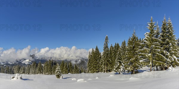 Panorama Hoehenweg, Kleinwalsertal, Allgaeu Alps, Vorarlberg, Austria, Europe