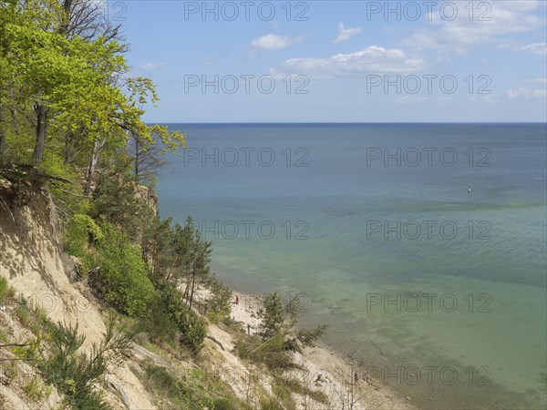 A steep rocky outcrop with green trees, a path leading down to the calm sea under a clear sky,