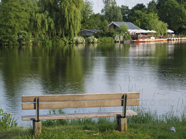A bench on the lakeshore with a view of calm reflecting water and trees, small lake with tree