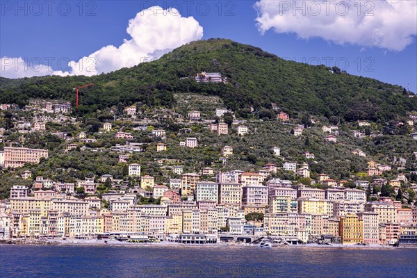 Camogli seen from the sea, Liguaia, Italy, Europe