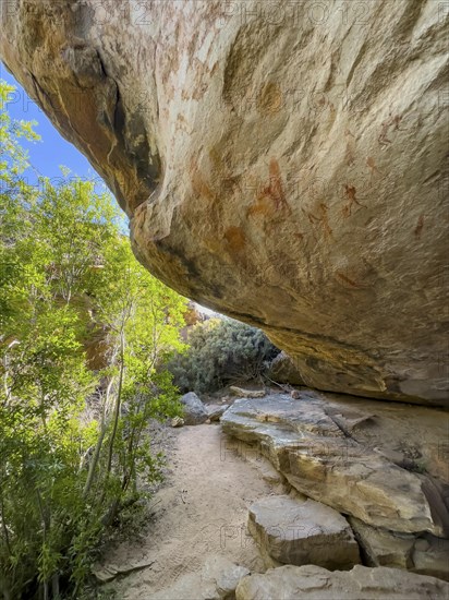 Prehistoric depiction on a rock, San rock paintings, Sevilla Art Rock Trail, Cederberg Mountains,