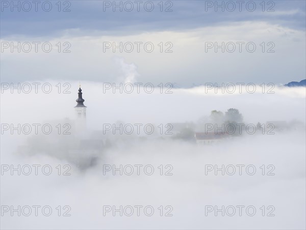 Church tower rises out of the morning mist, Frauenberg pilgrimage church, near Leibnitz, Styria,