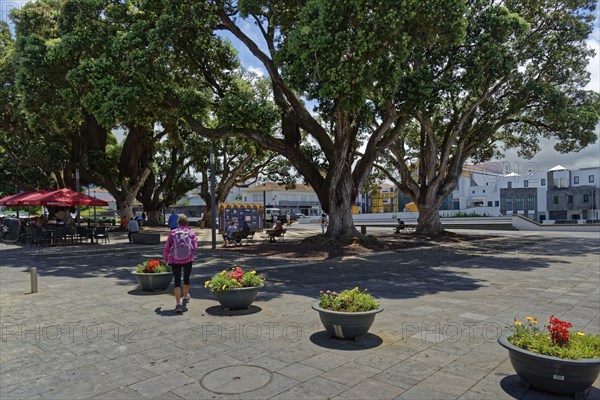 A spacious square with large trees, colourful flowers in boxes and people visiting a nearby cafe,