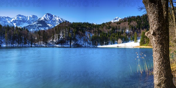Alatsee, Ostallgaeu, Allgaeu, Swabia, Bavaria, Germany, Europe