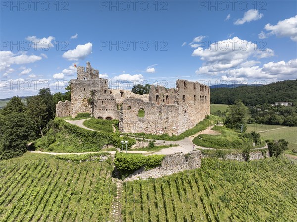 Aerial view of Staufen Castle, on a vineyard, Schlossberg, Staufen im Breisgau, Markgraeflerland,