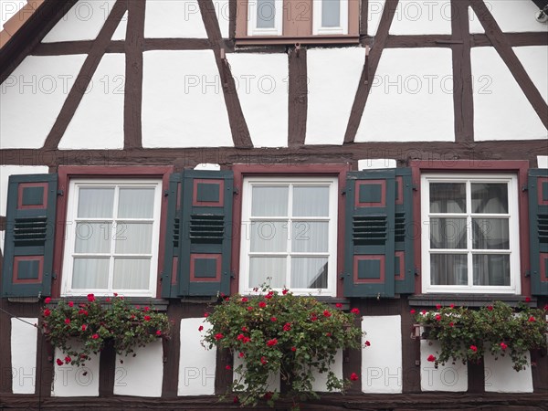 Half-timbered house with red shutters and flower boxes under the windows, kandel, germany