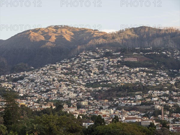 A hilly urban landscape with densely populated houses along the mountain slopes at sunset, Madeira,
