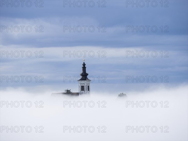 Church tower rises out of the morning mist, Frauenberg pilgrimage church, near Leibnitz, Styria,