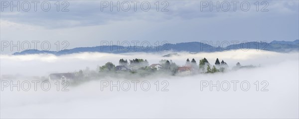 Morning fog over the village Frauenberg, panoramic picture, view from the Silberberg, near