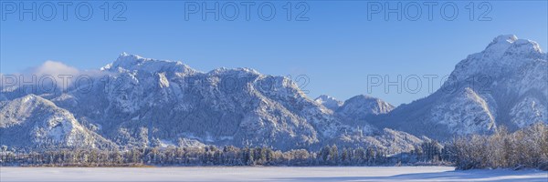 Neuschwanstein Castle near Hohenschwangau, Romantic Road, Ostallgaeu, Bavaria, Germany, Europe