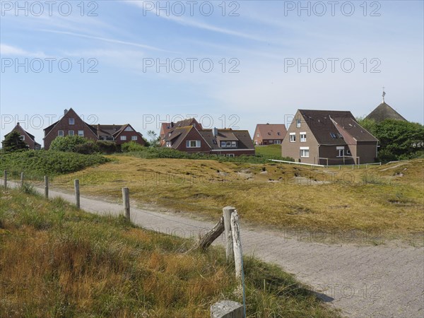 Rural scene with several brick houses in the background and a path through a meadow, Baltrum