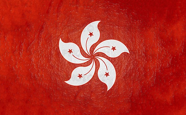 The Hong Kong flag features a white stylized orchid flower with five stars on a red background with