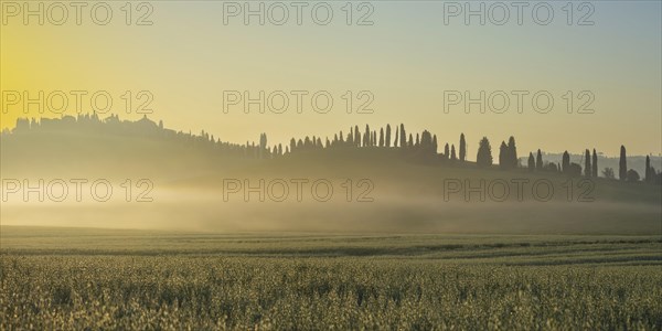 Sunrise in the Crete Senesi, Province of Siena, Tuscany, Italy, Europe