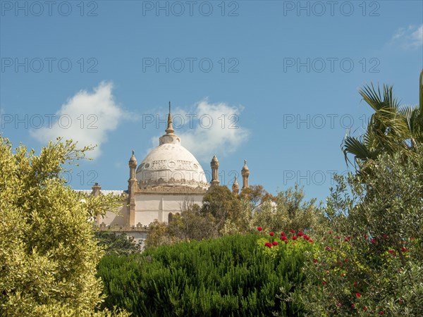 A light beige architectural-style dome rises among trees and flowers under a blue sky, Tunis in
