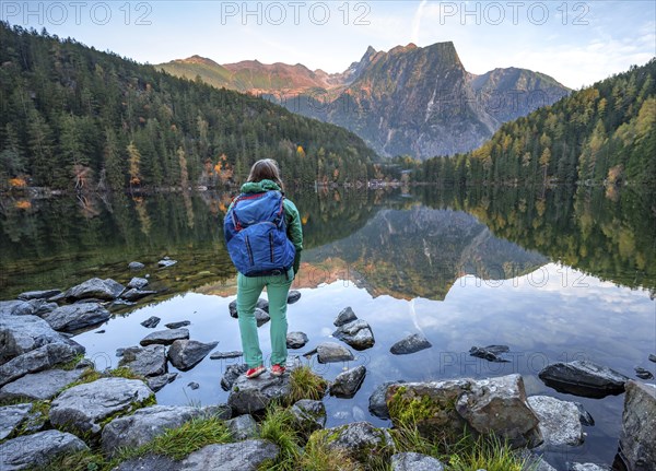 Hiker at the lake, mountain peaks of the Oetztal Alps are reflected in Lake Piburger See, in