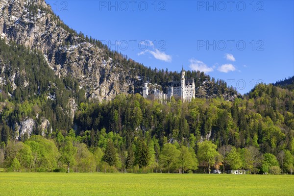 Neuschwanstein Castle in spring, Schwangau, Ostallgaeu, Allgaeu, Swabia, Upper Bavaria, Bavaria,