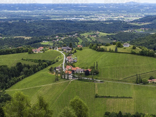 Hilly landscape, vineyards, view from the Demmerkogel lookout point, St. Andrae-Hoech, Sausal wine