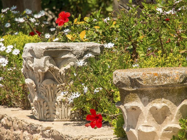 A Mediterranean garden with stone flower boxes, red and white flowers and a stone wall, Tunis in