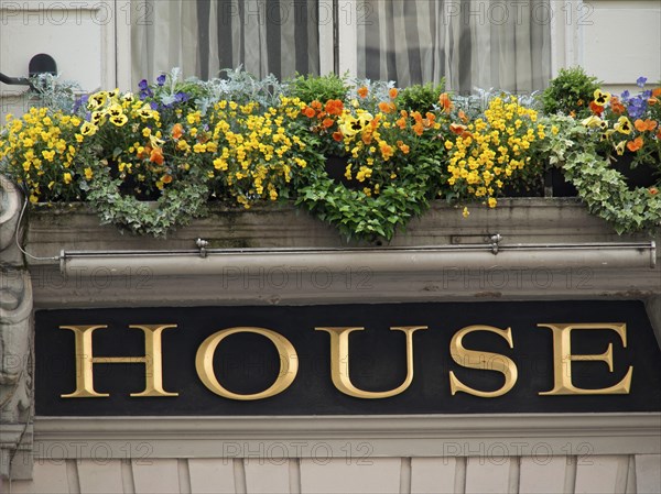A richly decorated windowsill with colourful flowers above a sign with the inscription 'House',