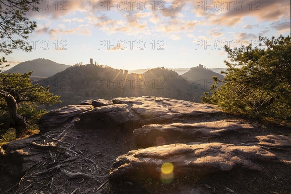View of Trifels Castle, from Engels Landing rock, with the young tower in autumn at sunset.