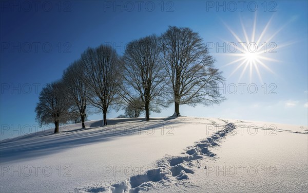 Footprints in fresh snow on a hill with a row of trees in winter, backlight, AI generated, AI