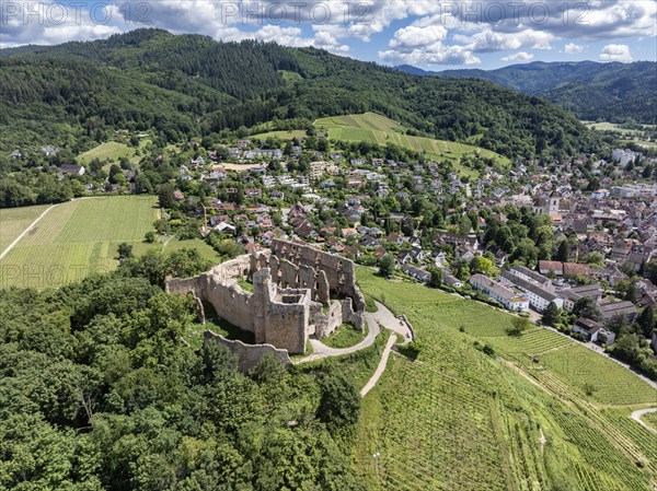 Aerial view of Staufen Castle, on a vineyard, Schlossberg, Staufen im Breisgau, Markgraeflerland,
