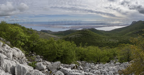 View of the island of Pag, Zadar, Dalmatia, Croatia, Europe