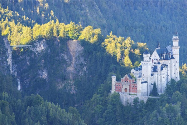 Neuschwanstein Castle near Hohenschwangau, Romantic Road, Ostallgaeu, Bavaria, Germany, Europe