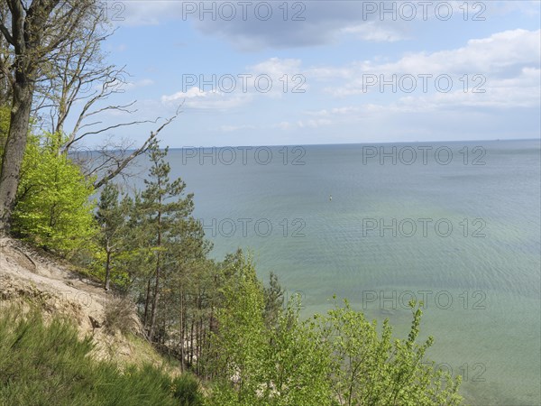Quiet coastline with green forest, beach and blue sea under a partly cloudy sky, Green trees on a