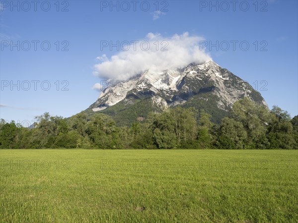 Meadow and trees, with the Grimming massif in the background in the morning light, near Irdning,