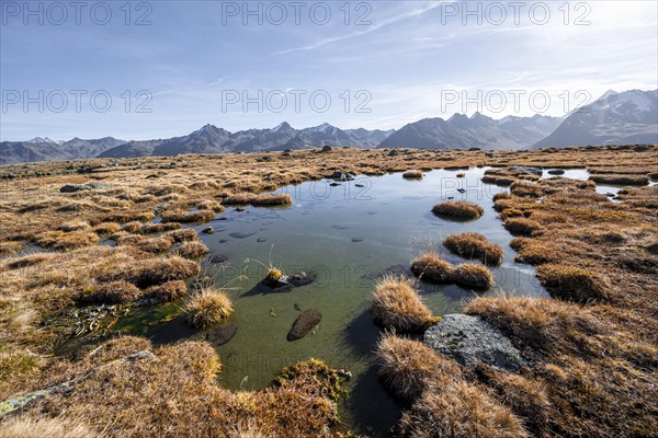 Small lake on the high plateau of the Gurgler Seenplatte, glaciated mountain peaks in the