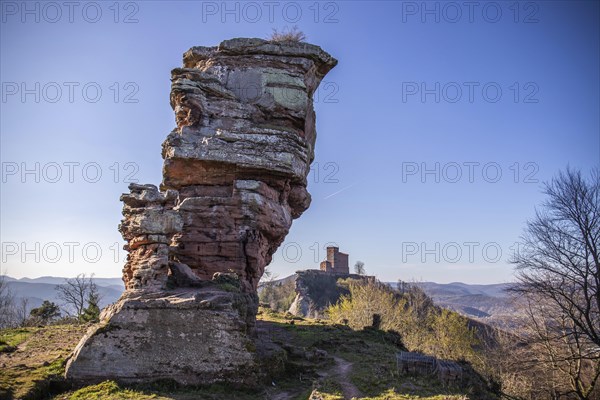View of Trifels Castle, from Engels Landing rock, with the young tower in autumn at sunset.